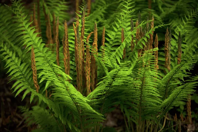 $739,000 | 4185 North Taylor Road, Branch, MI 49402