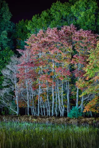 $739,000 | 4185 North Taylor Road, Branch, MI 49402