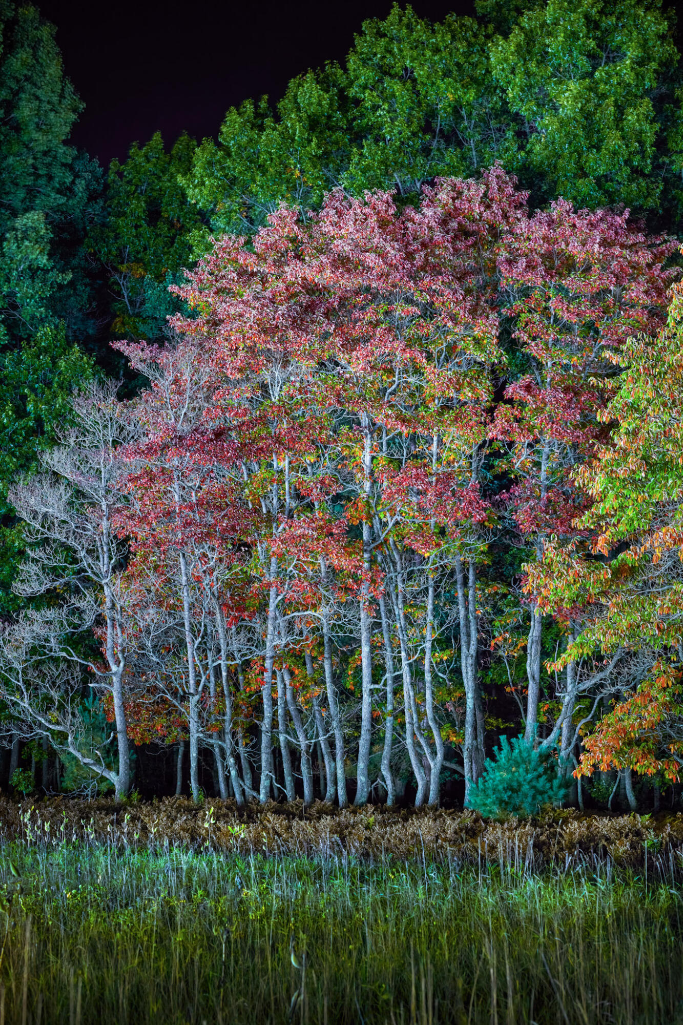 4185 North Taylor Road Branch, MI 49402 - Photo 49 of 56 35-7462-blendgigapixel-standard-scale-1_