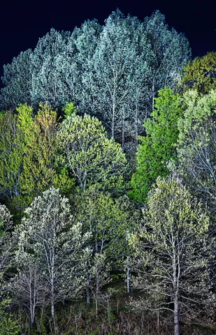 $739,000 | 4185 North Taylor Road, Branch, MI 49402