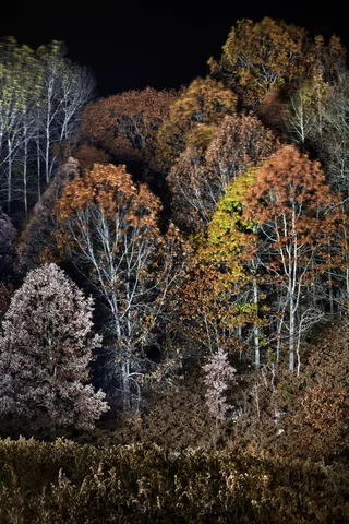 $739,000 | 4185 North Taylor Road, Branch, MI 49402