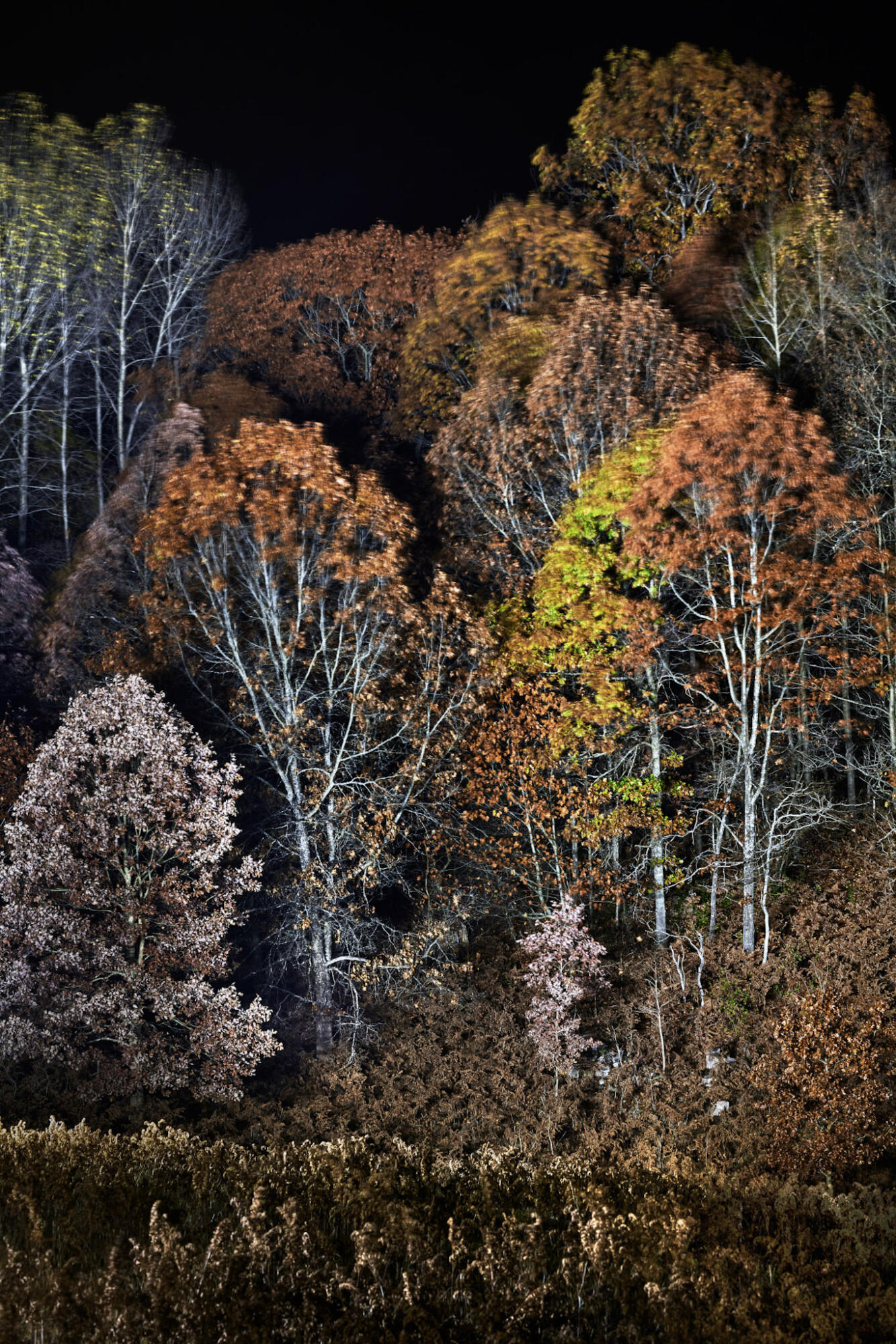 4185 North Taylor Road Branch, MI 49402 - Photo 51 of 56 41-9010f