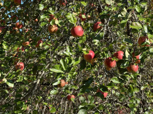 $739,000 | 4185 North Taylor Road, Branch, MI 49402