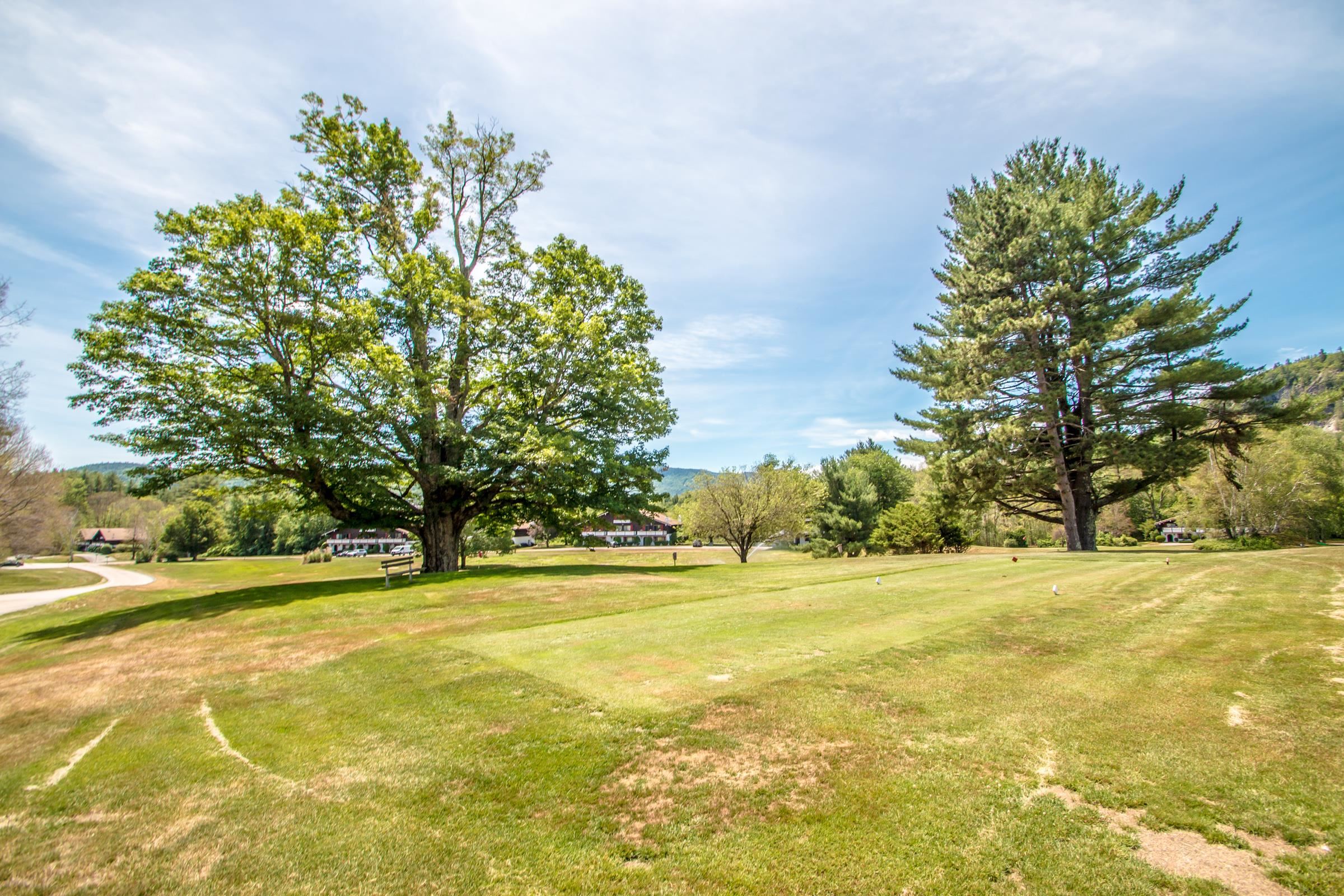 16 Sandtrap Loop, Unit P3 Bartlett, NH 03838 - Photo 18 of 29