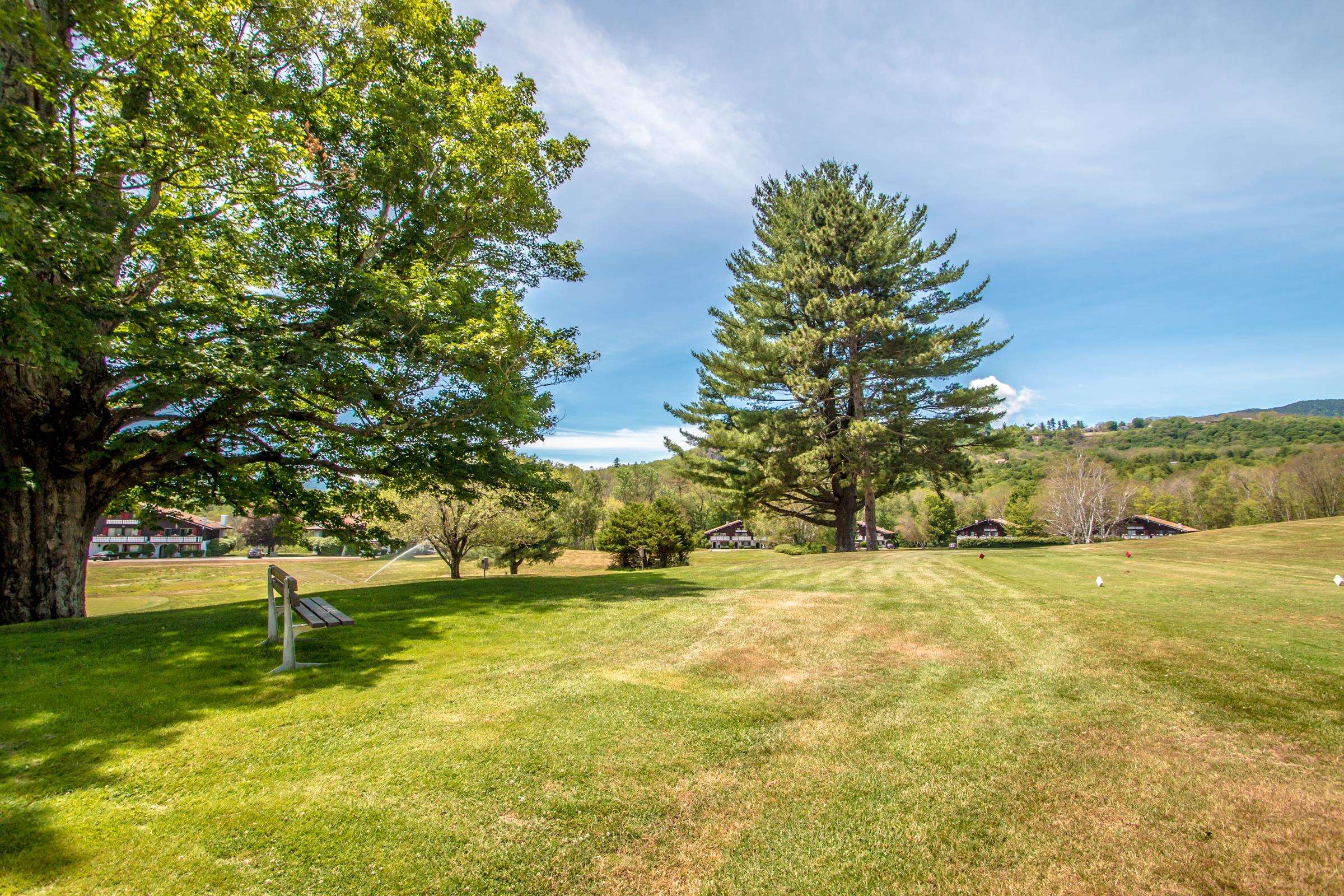 16 Sandtrap Loop, Unit P3 Bartlett, NH 03838 - Photo 20 of 29