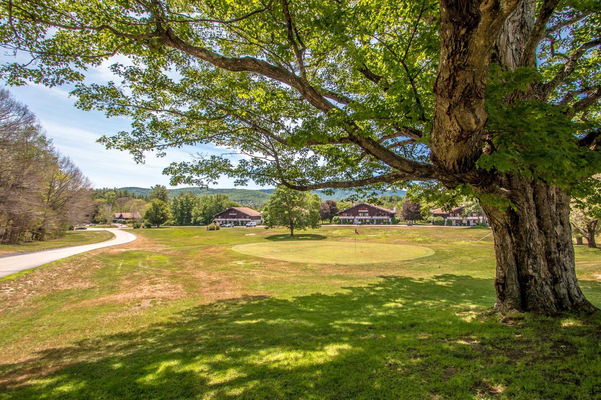 16 Sandtrap Loop, Unit P3 Bartlett, NH 03838 - Photo 21 of 29