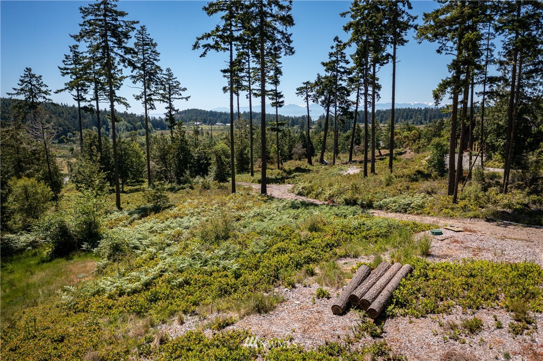 4451 Mud Bay Road Lopez Island, WA 98261 - Photo 11 of 14 Gallery Image 11