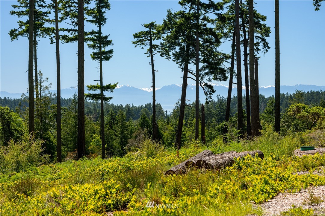 4451 Mud Bay Road Lopez Island, WA 98261 - Photo 12 of 14 Gallery Image 12