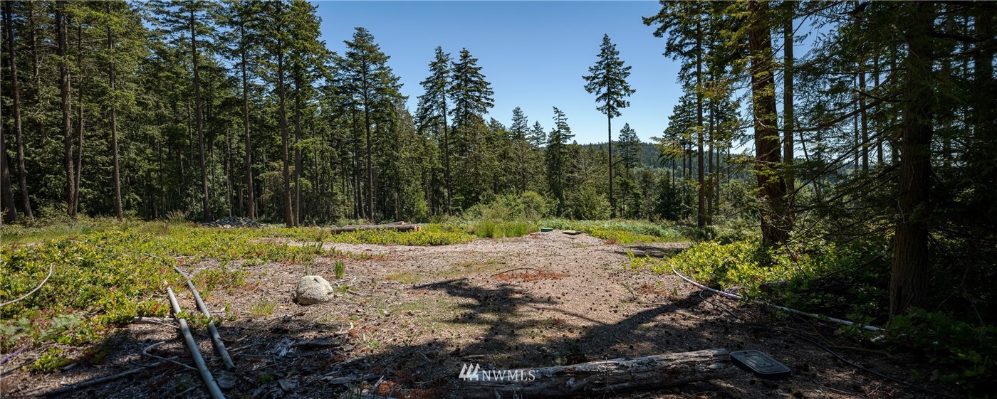 4451 Mud Bay Road Lopez Island, WA 98261 - Photo 13 of 14 Gallery Image 13