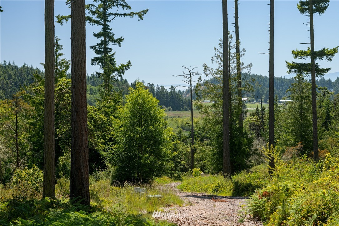 4451 Mud Bay Road Lopez Island, WA 98261 - Photo 14 of 14 Gallery Image 14