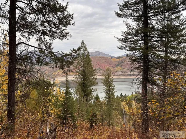 $299,000 | 6 Upper Coyote, Irwin, ID 83428