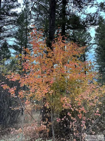 $299,000 | 6 Upper Coyote, Irwin, ID 83428