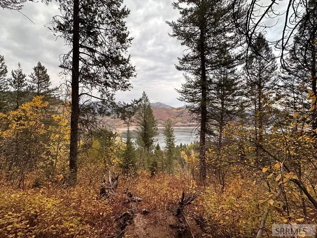 $299,000 | 6 Upper Coyote, Irwin, ID 83428