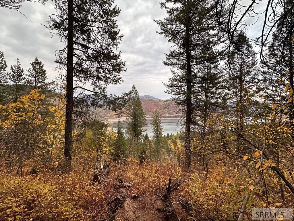 6 Upper Coyote Irwin, ID 83428 - Photo 4 of 39