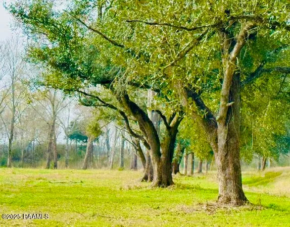 $75,000 | 0 Tbd 5th Street, Iota, LA 70543