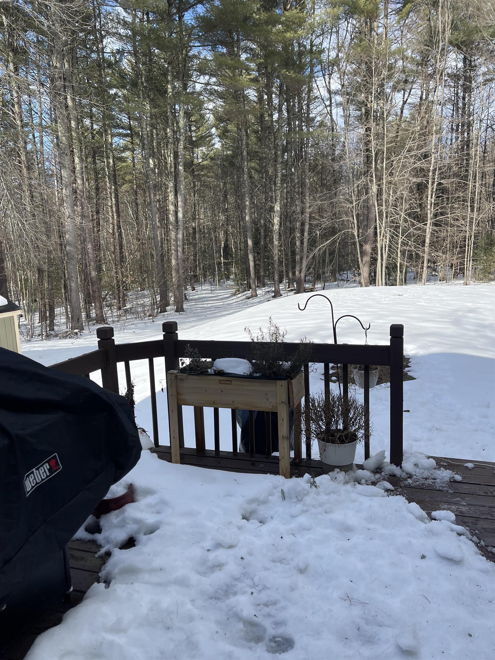 276 Patten Hill Road Candia, NH 03034 - Photo 33 of 35