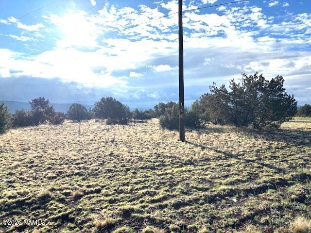 3744 Verde Road Williams, AZ 86046 - Photo 8 of 18 image3