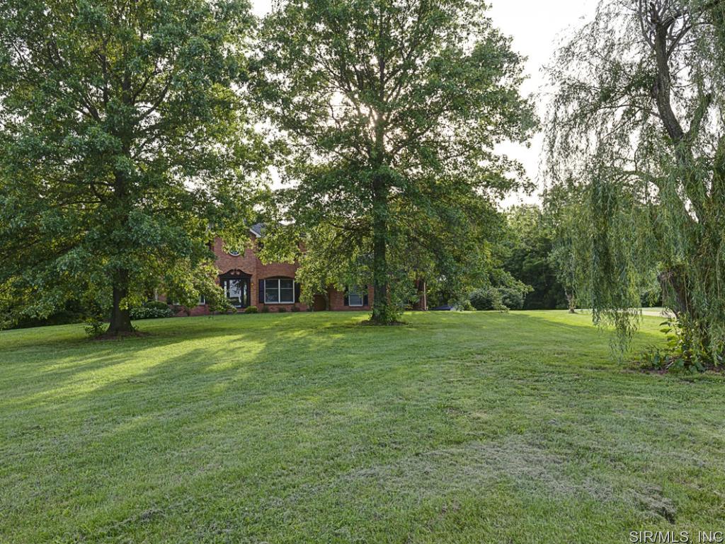 513 Shiloh Station Road Shiloh, IL 62221 - Photo 3 of 24