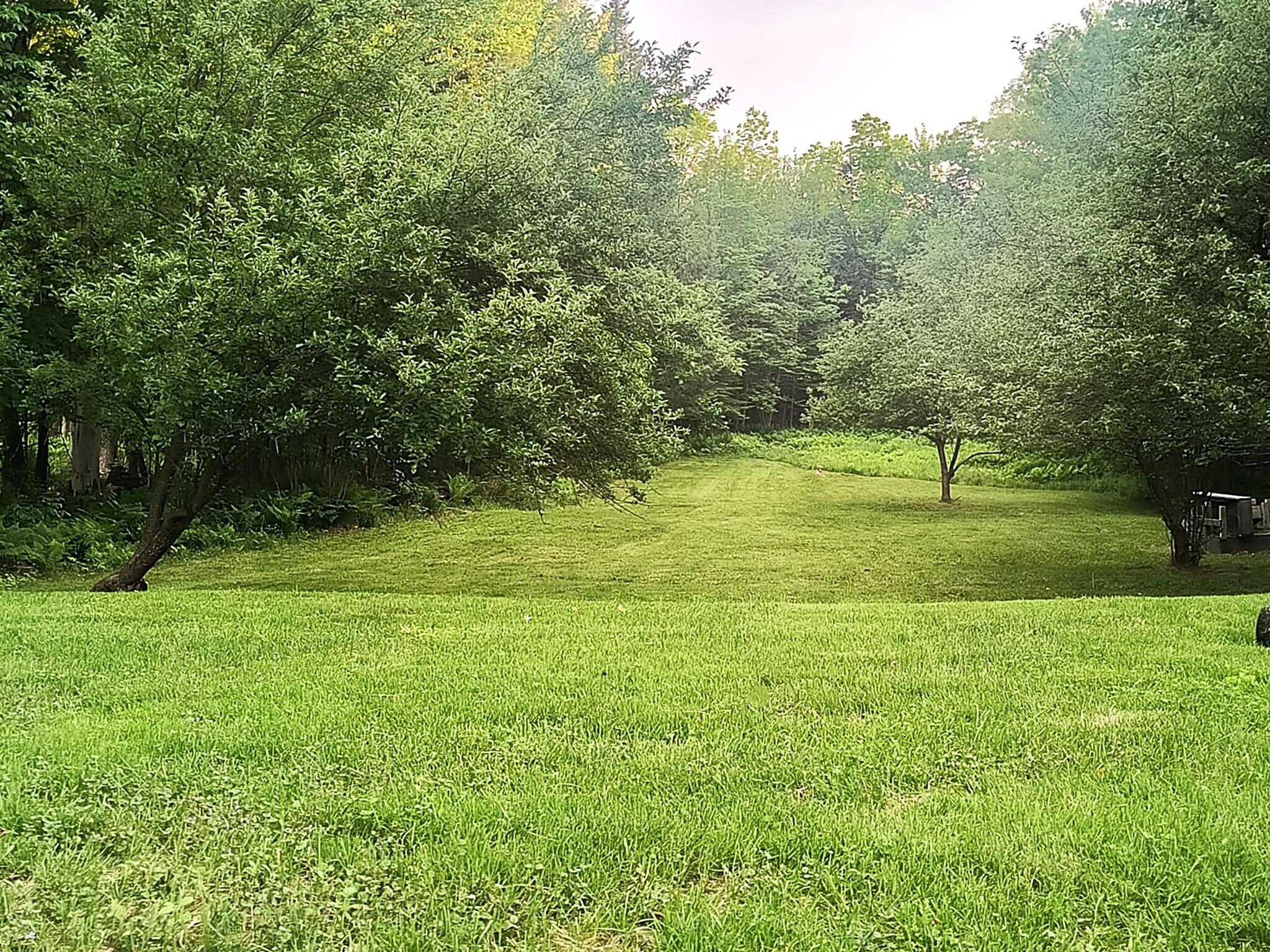 1150 Lakewood Road Madison, ME 04950 - Photo 25 of 33 Summer-1150 back yard from house