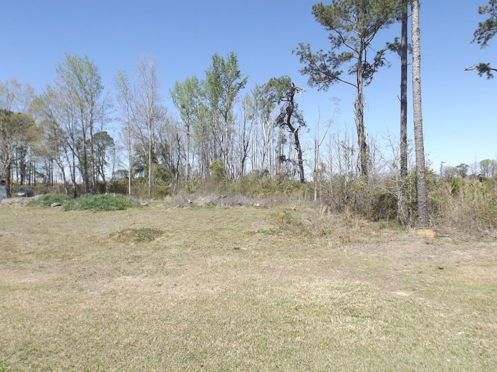 Tbd Tbd Governor Richardson Road Summerton, SC 29148 - Photo 5 of 7 Photo 5