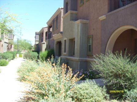 3935 East Rough Rider Road, Unit 1143 Phoenix, AZ 85050 - Photo 6 of 7 a front view of a house with a yard