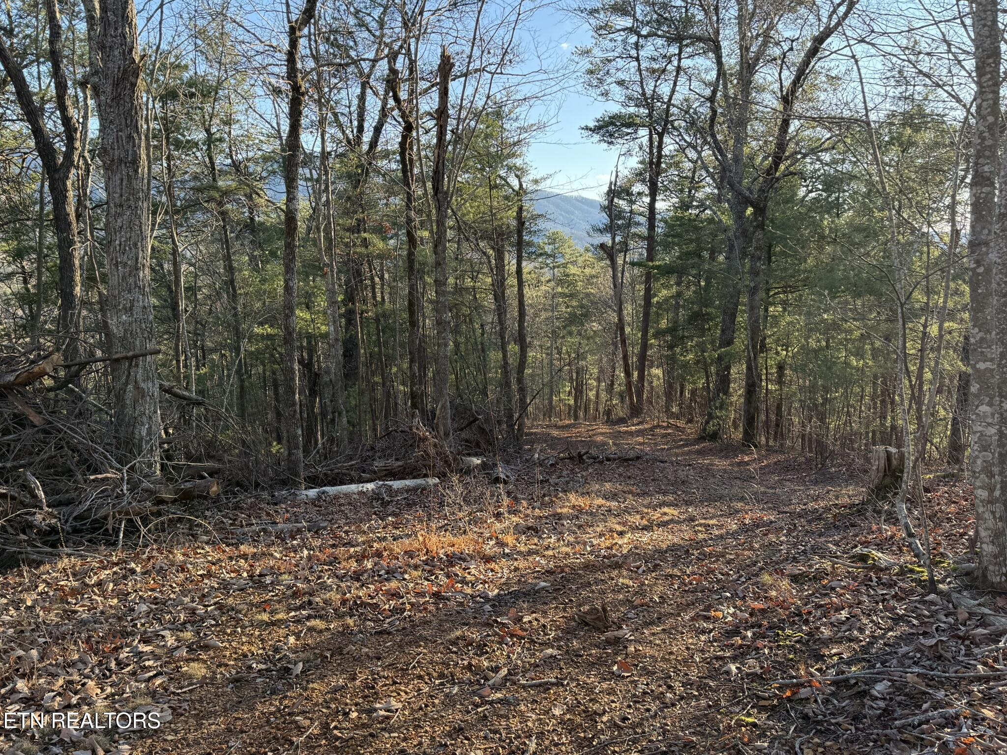0 Mt Pleasant Road Vonore, TN 37885 - Photo 11 of 23 IMG_1746
