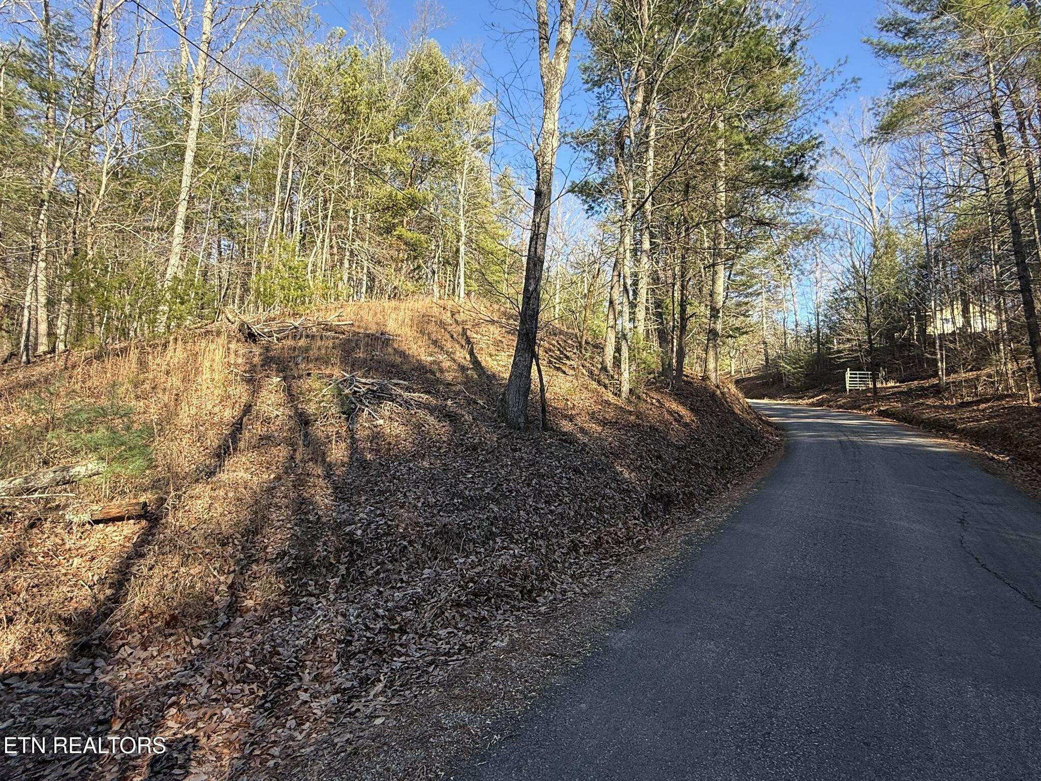 0 Mt Pleasant Road Vonore, TN 37885 - Photo 14 of 23 IMG_1695