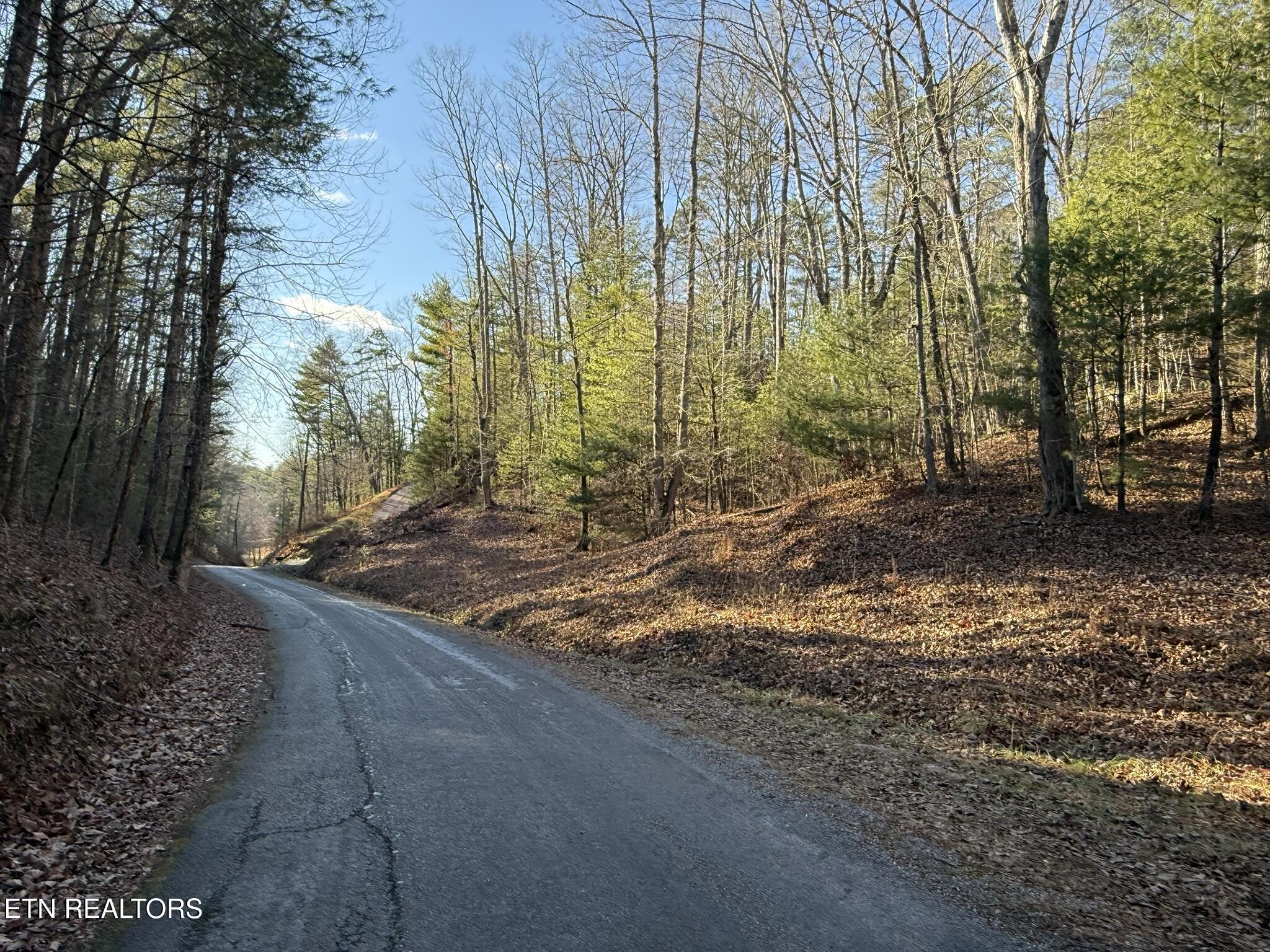 0 Mt Pleasant Road Vonore, TN 37885 - Photo 15 of 23 IMG_1696