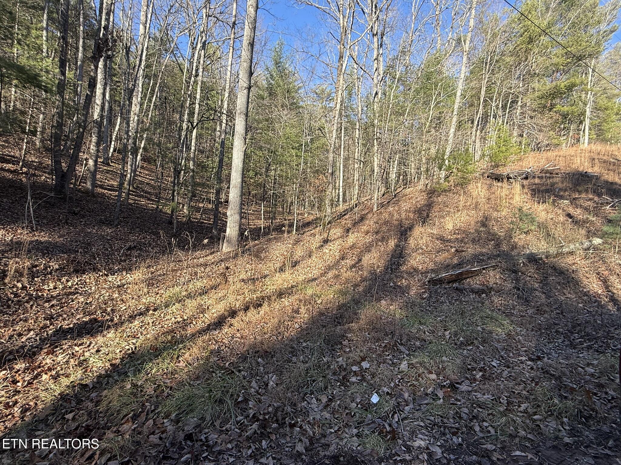 0 Mt Pleasant Road Vonore, TN 37885 - Photo 16 of 23 IMG_1697