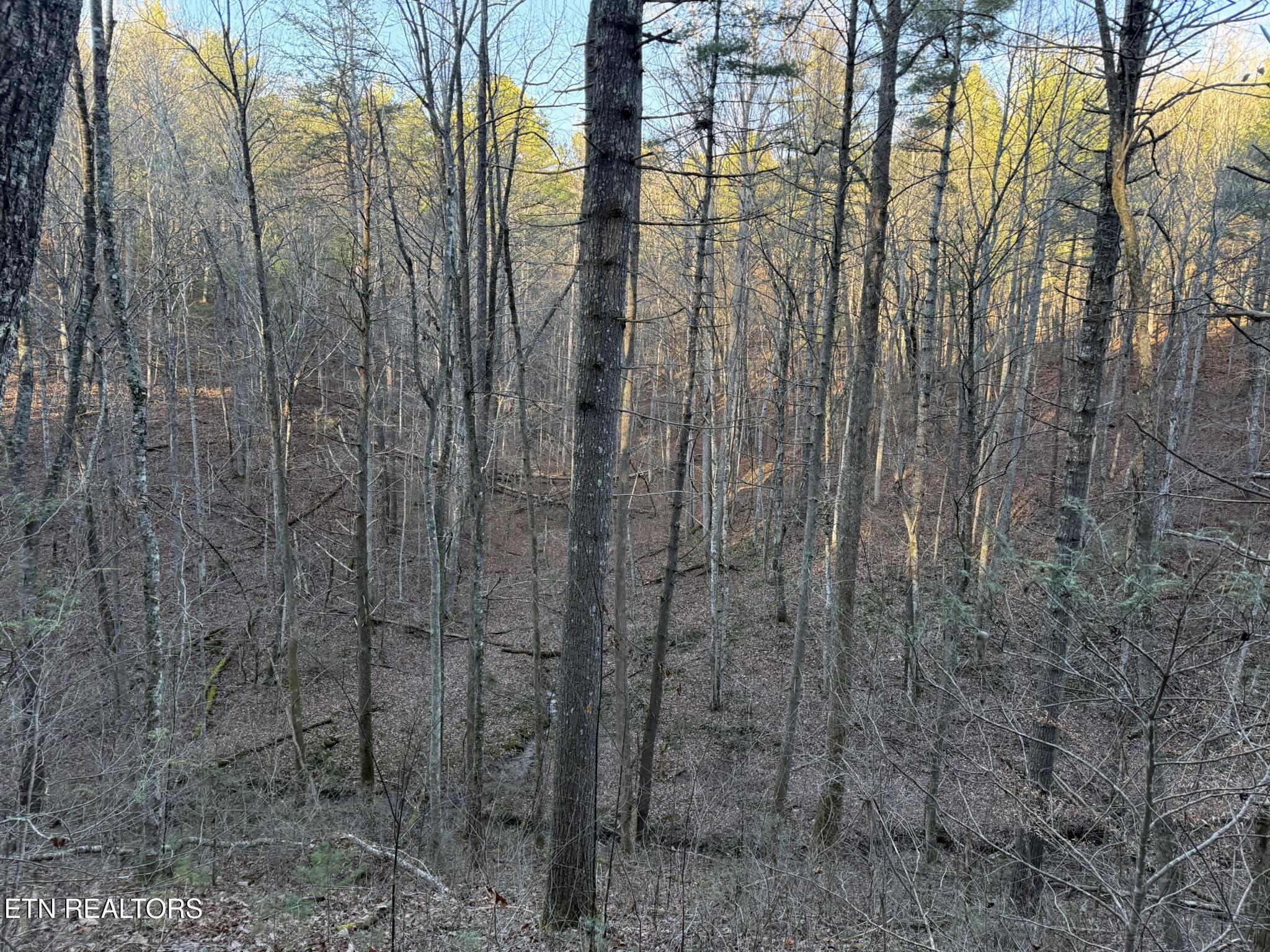 0 Mt Pleasant Road Vonore, TN 37885 - Photo 17 of 23 IMG_1723