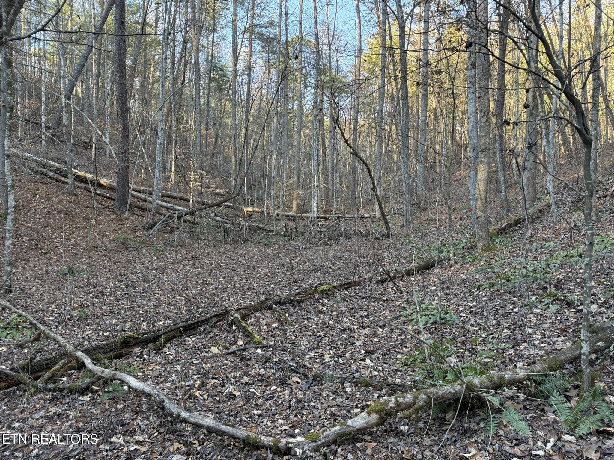 0 Mt Pleasant Road Vonore, TN 37885 - Photo 20 of 23 IMG_1739