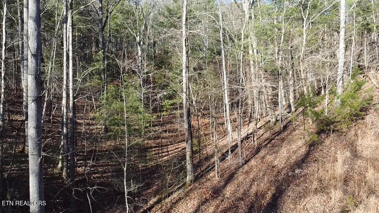 0 Mt Pleasant Road Vonore, TN 37885 - Photo 21 of 23 2026-01-11-15-16-42-393