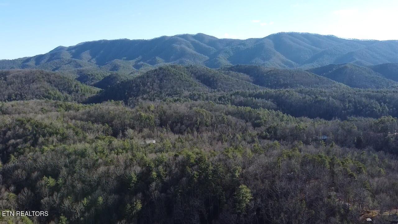 0 Mt Pleasant Road Vonore, TN 37885 - Photo 4 of 23 2026-01-11-15-19-37-579
