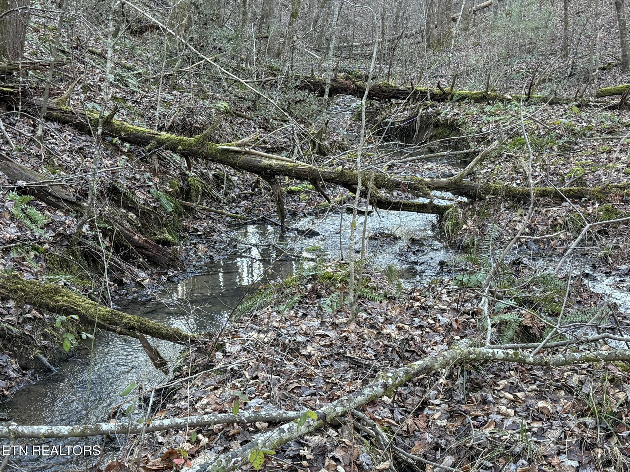 0 Mt Pleasant Road Vonore, TN 37885 - Photo 5 of 23 IMG_1733