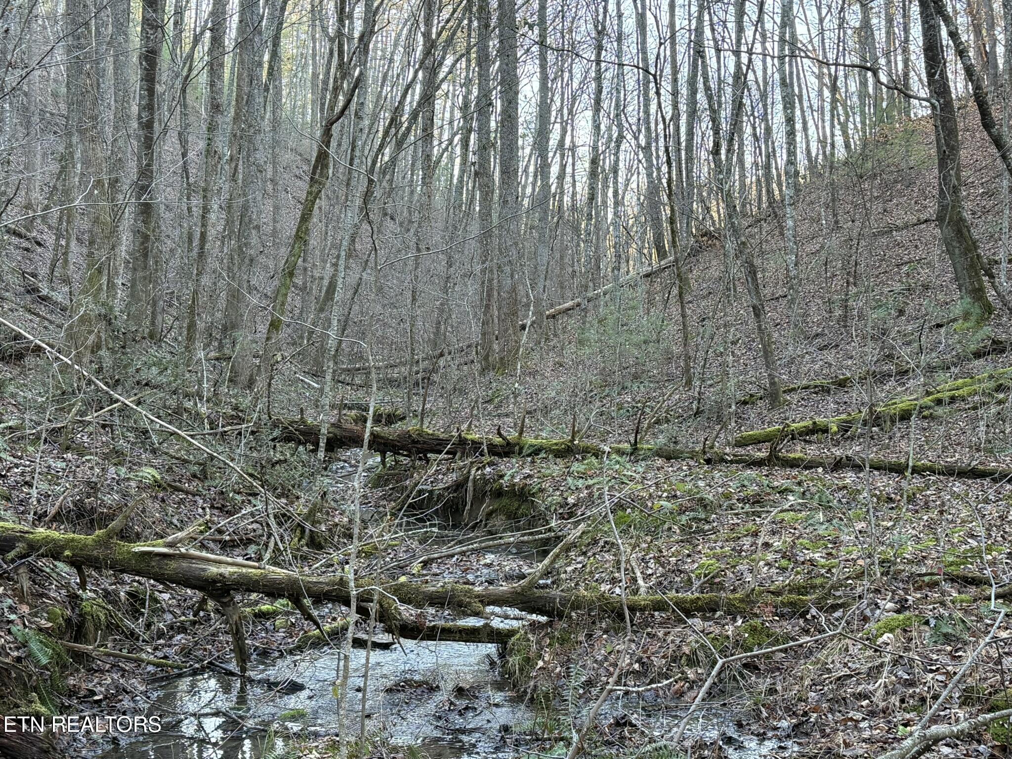 0 Mt Pleasant Road Vonore, TN 37885 - Photo 8 of 23 IMG_1734