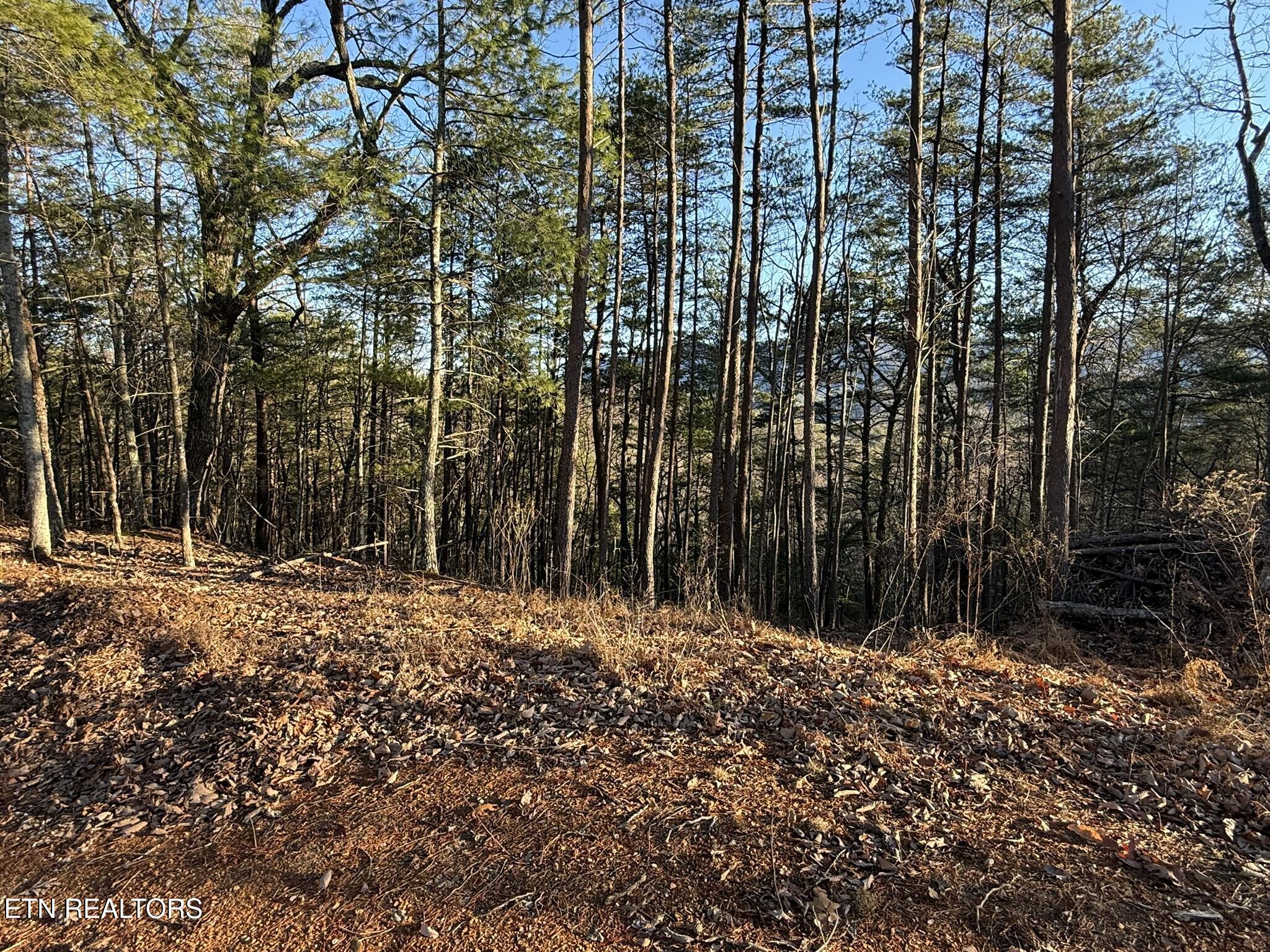 0 Mt Pleasant Road Vonore, TN 37885 - Photo 10 of 23 IMG_1747