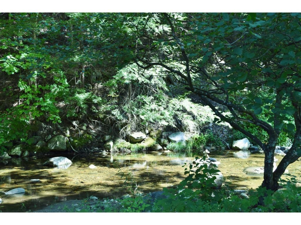 30 Back Street Newfane, VT 05345 - Photo 4 of 41