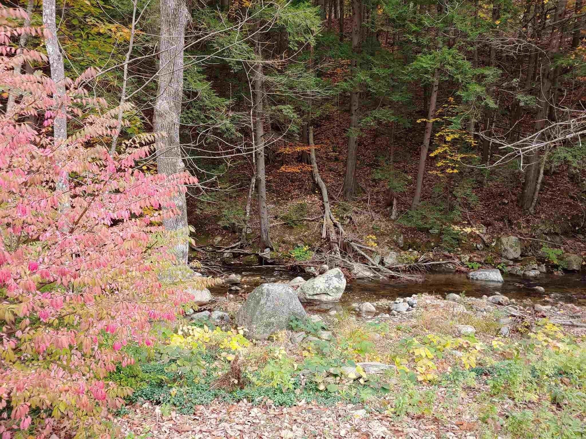 30 Back Street Newfane, VT 05345 - Photo 5 of 41