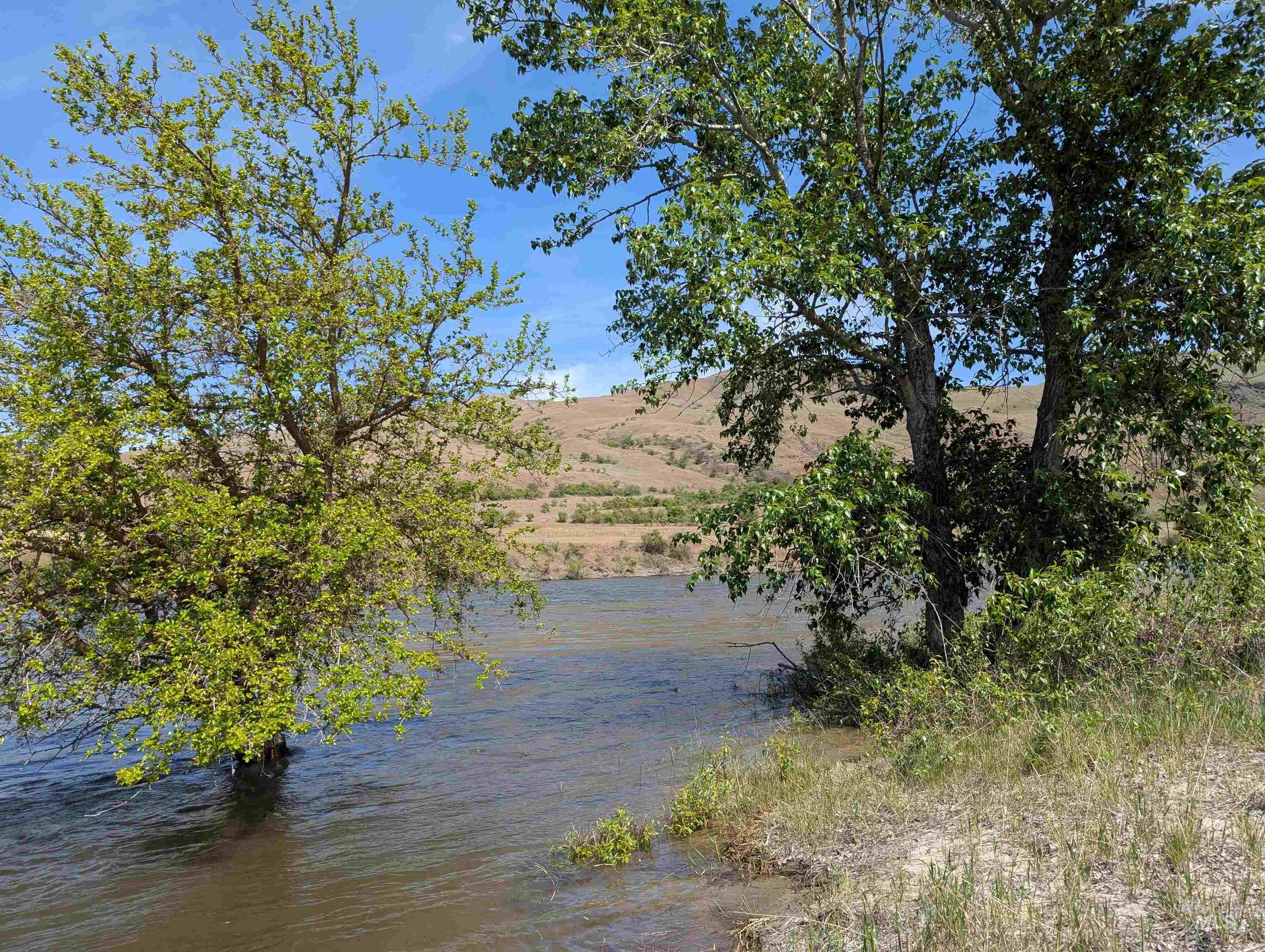 Tbd Tbd River Bend Road White Bird, ID 83554 - Photo 3 of 12