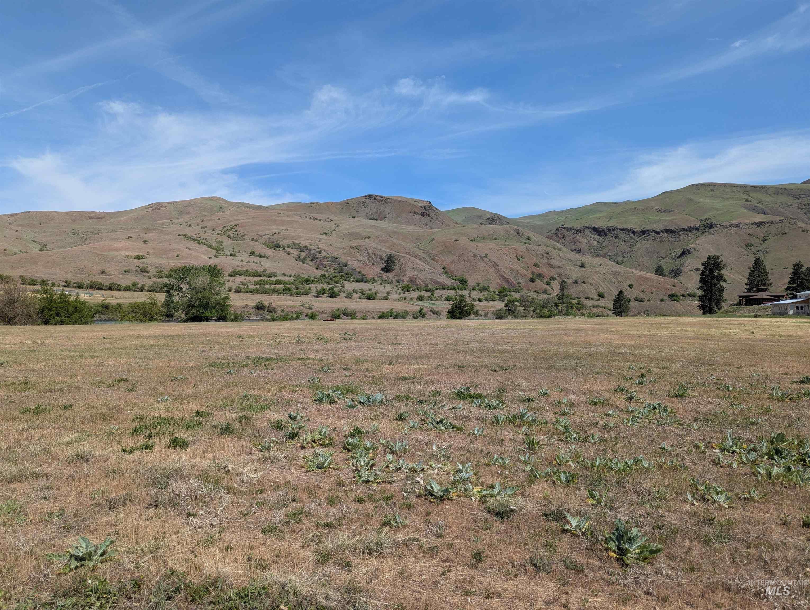 Tbd Tbd River Bend Road White Bird, ID 83554 - Photo 7 of 12
