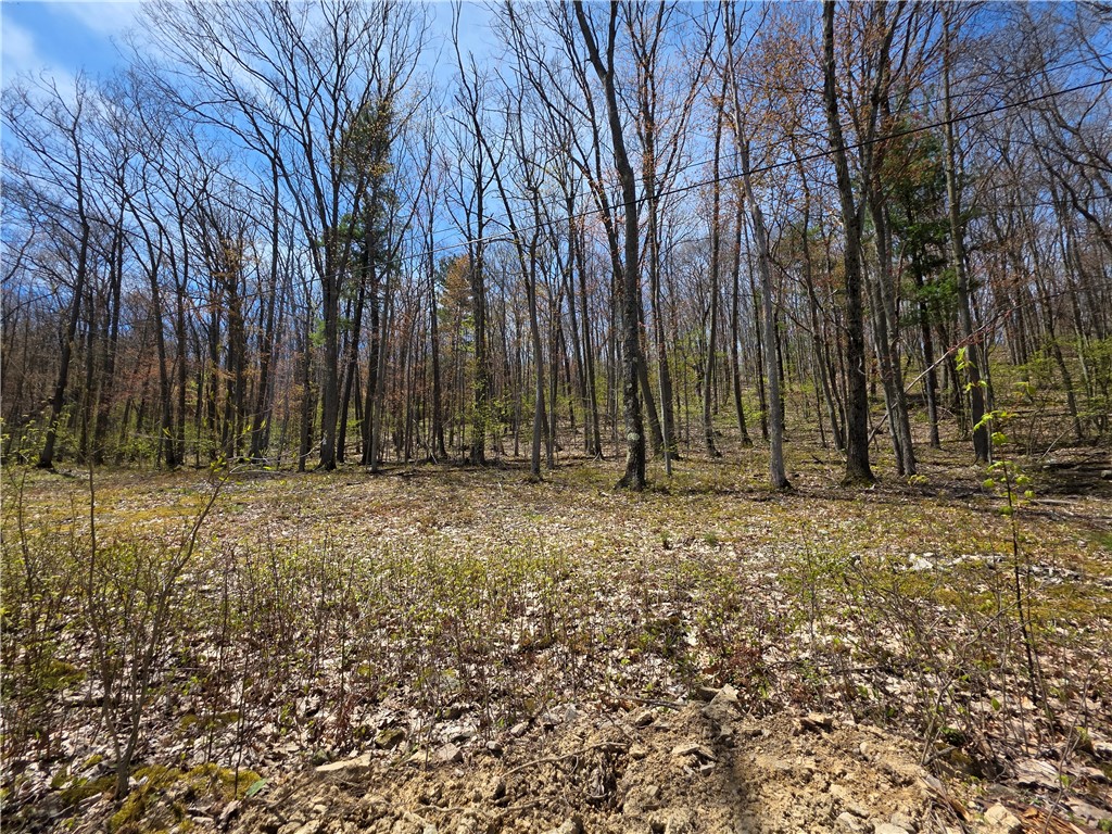 4408 Bush Hill Road Canisteo, NY 14823 - Photo 30 of 35