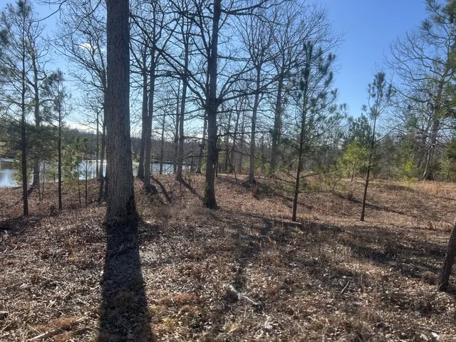 $69,900 | 33 White Elk Circle, Big Sandy, TN 38221