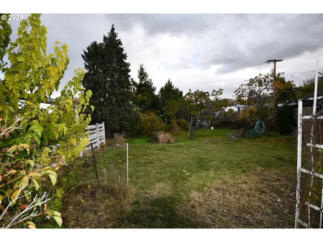 a backyard of a house with lots of green space