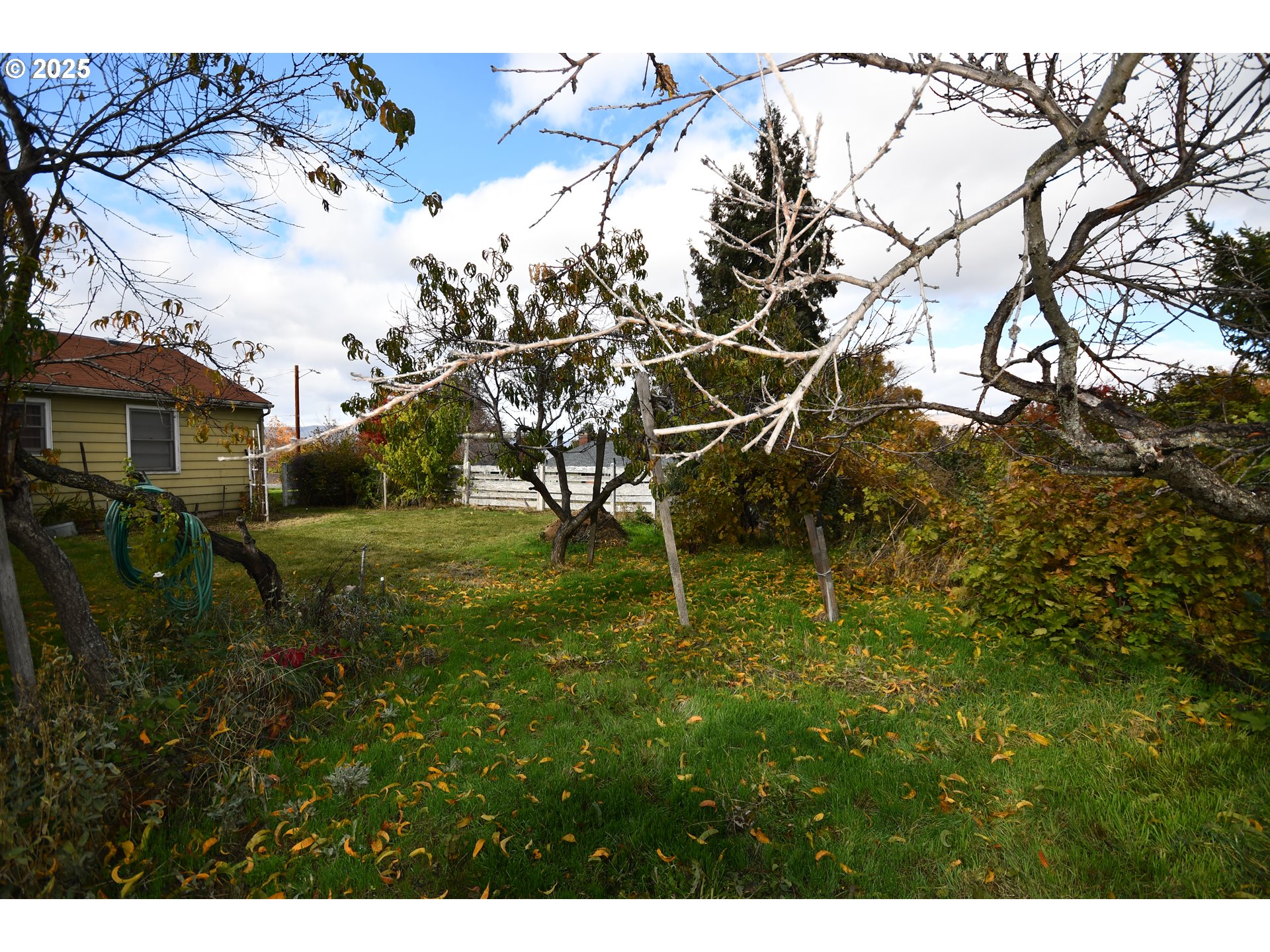 1300 View Court The Dalles, OR 97058 - Photo 42 of 45 a backyard of a house with lots of green space