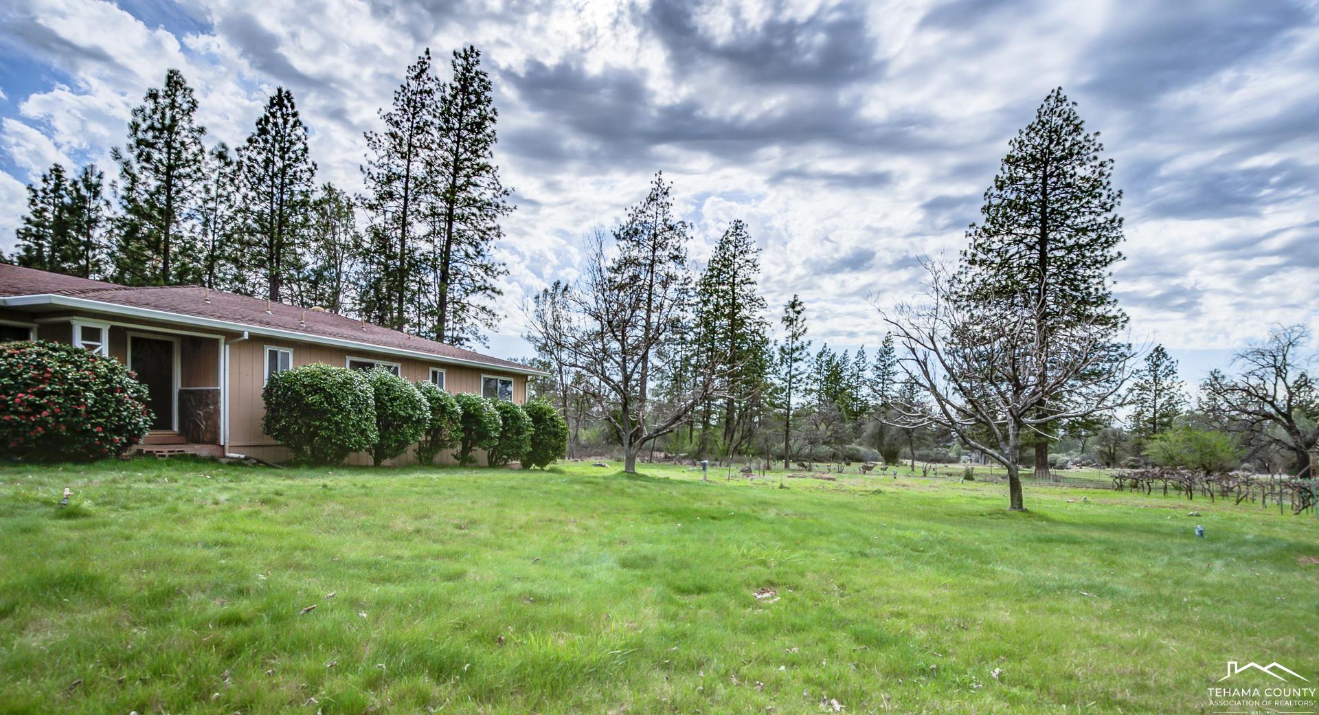 21115 Rolling Hills Road Manton, CA 96059 - Photo 36 of 48 Gallery Image 36