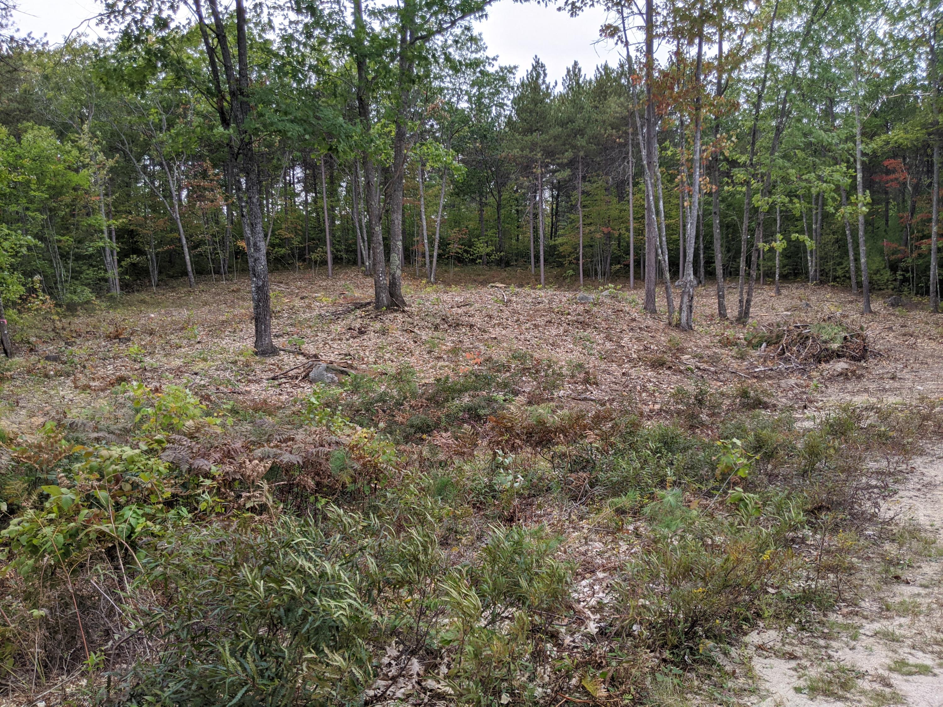 Lot 5 Lake Ridge Road West Newfield, ME 04095 - Photo 6 of 10 Lot 5-1