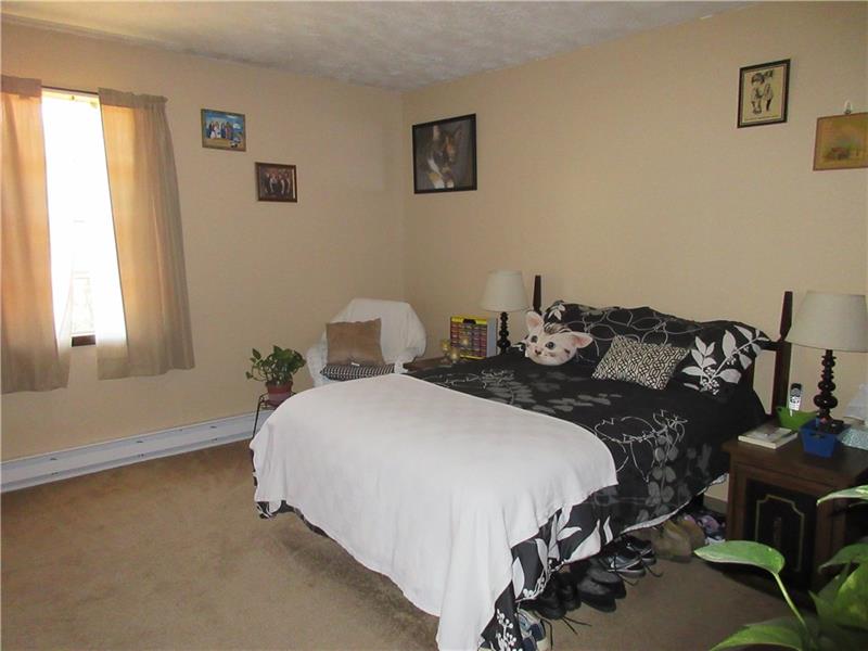 405 Air Shaft Road Rices Landing, PA 15357 - Photo 10 of 25 Gallery Image 10