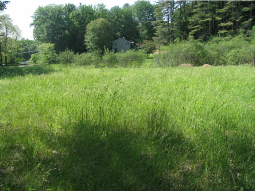 437 Piggery Road Westminster, VT 05346 - Photo 7 of 30