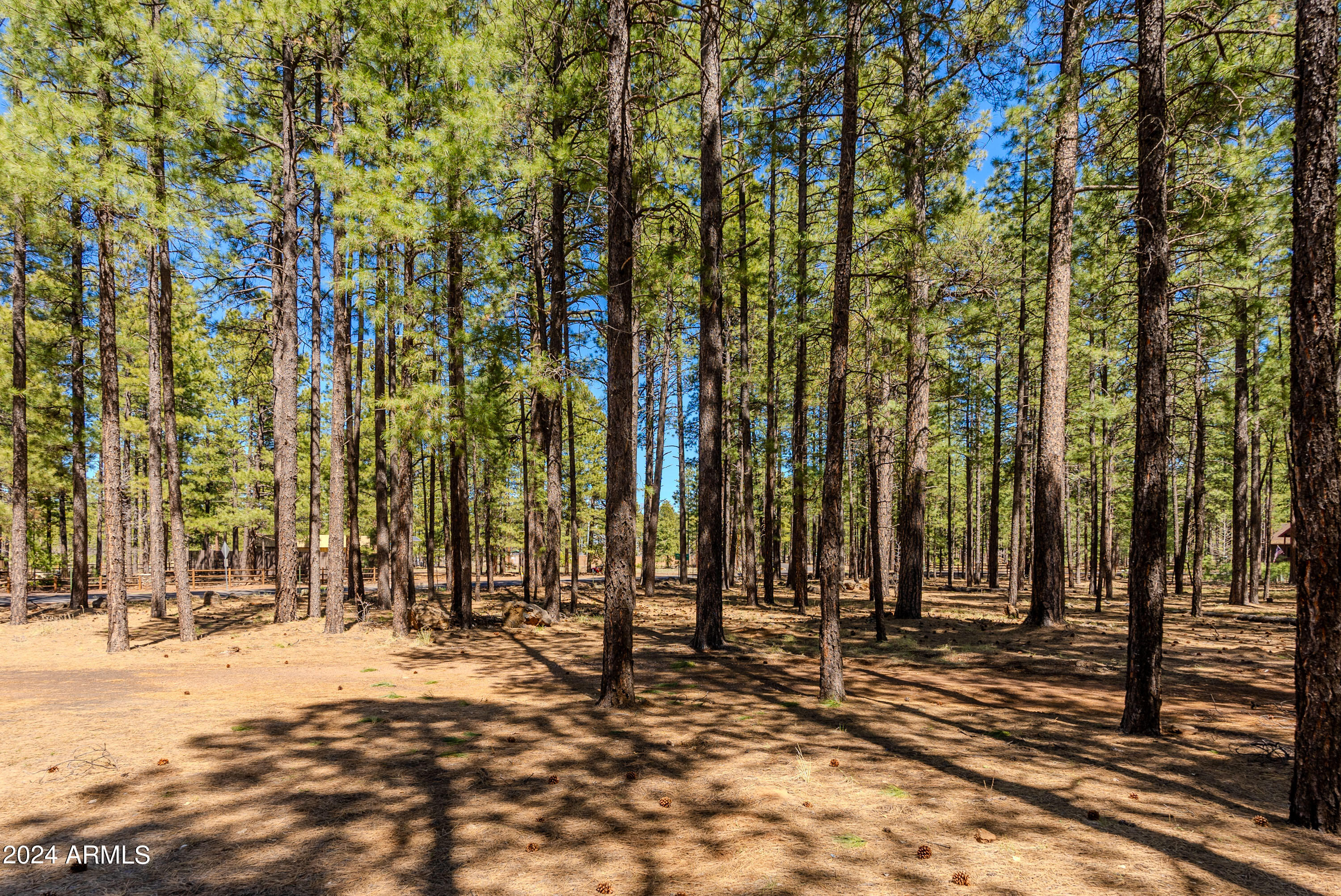 4583 Sky Hi Road Pinetop, AZ 85935 - Photo 22 of 30 4583 Sky Hi-22