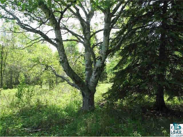 Lot 8 Chester Boulevard Tofte, MN 55615 - Photo 1 of 24